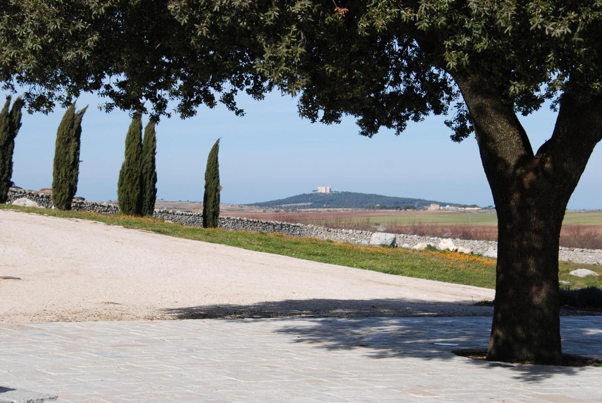 Masseria Torre Di Nebbia Castel Del Monte  Exterior photo